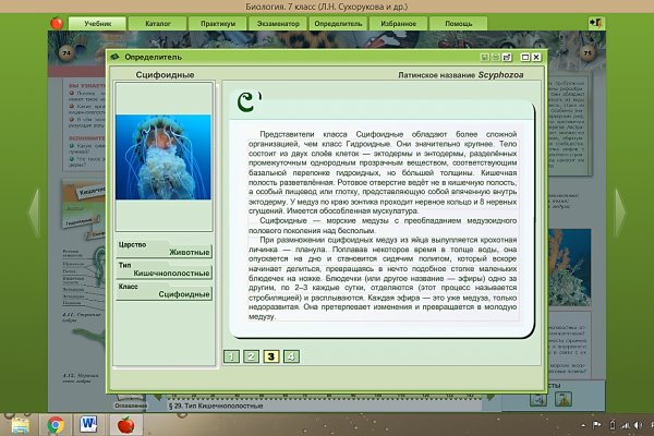 Кракен сайт что это