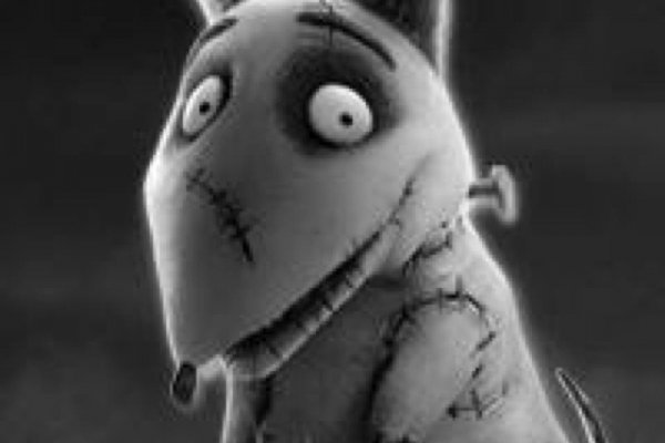 Кракен сайт как зайти